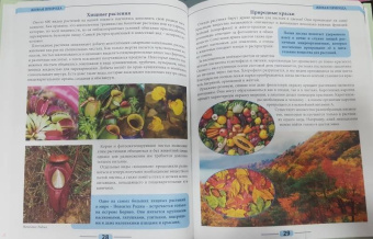 Мария Куруськина: Живая природа