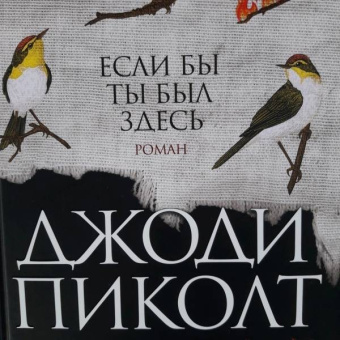 Джоди Пиколт: Если бы ты был здесь