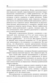 Магомедмирза Магомедов: Виноград. Основы технологии хранения. Учебное пособие