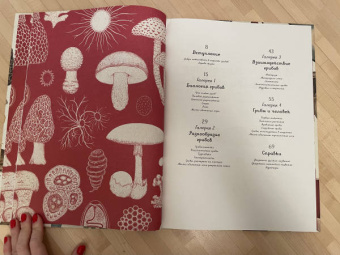 Гайя, Прескотт, Ли: Грибы