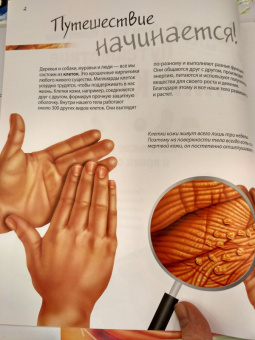 Боэрле, Ланда: Путешествие в мир клетки. Нескучная наука