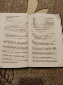 Гаврилова, Жильцова: Академия стихий. Книга 1. Танец огня