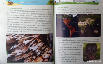 Ольга Тяжлова: Удивительные животные