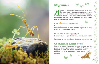 Животные. Большая детская энциклопедия