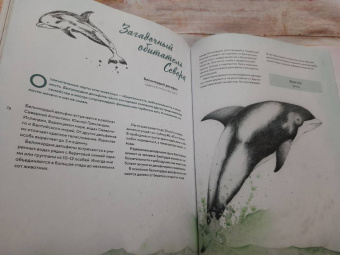 Стегман, Янсен: Наши соседи по планете. Рассказы о диких животных