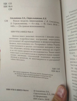 Секлитова, Стрельникова: Новая модель мироздания