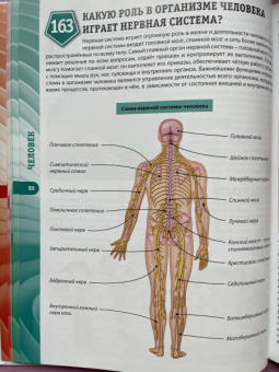 Тамара Скиба: Современная энциклопедия для детей. Что? Как? Почему? Зачем?