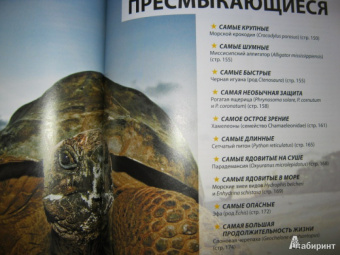 Марк Карвардин: Рекорды животных. Энциклопедия