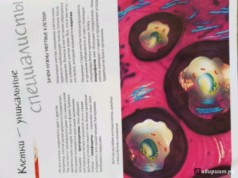 Боэрле, Ланда: Путешествие в мир клетки. Нескучная наука