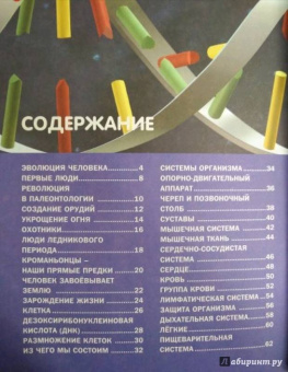 Как устроен человек. Энциклопедия для детей