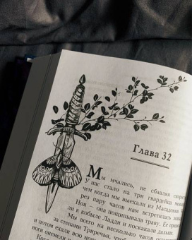 Дженнифер Арментроут: Из крови и пепла