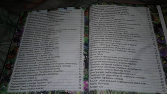 Людмила Соколова: Энциклопедия. Бабочки