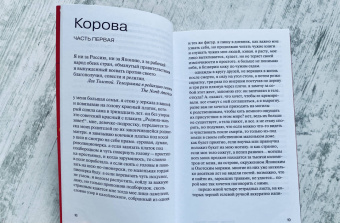 Мария Ныркова: Залив Терпения