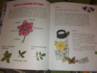 Эмма Янссон: Цветы и растения