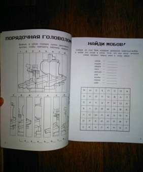Е. Саломатина: МЕГАквадратные игры для фанатов Майнкрафт