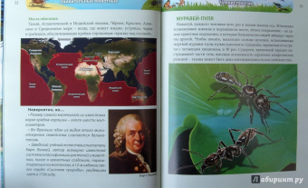 Ольга Тяжлова: Удивительные животные