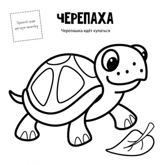 Животные
