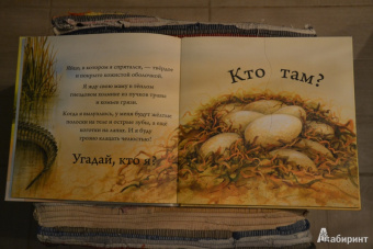 Кто спрятался?