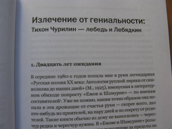 Олег Юрьев: Писатель как сотоварищ по выживанию. Статьи, эссе и очерки о литературе и не только