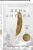 Юлия Варенцова: День Ангела. Рассказы о святых
