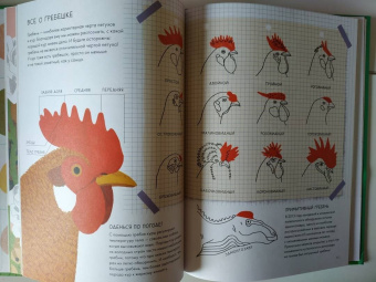 Джуббилини, Сандри: Курицеведение. Дачная энциклопедия