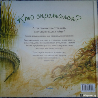 Кто спрятался?
