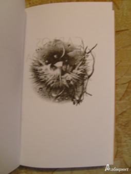 Карлос Кастанеда: Искусство сновидения