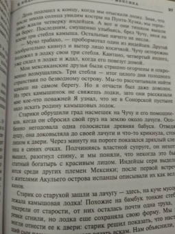 Тур Хейердал: Ра