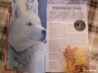 Брюс Фогл: Собаки. Полная энциклопедия