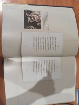 Пушкин, Рожников: Евгений Онегин. Подробный иллюстрированный комментарий