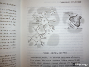 Чопра, Танзи: Совершенный мозг