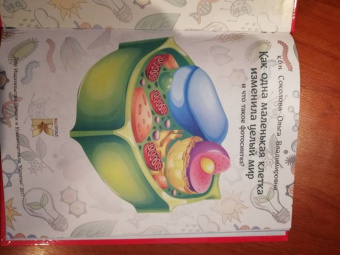 Ольга Соколова: Как одна маленькая клетка изменила целый мир!