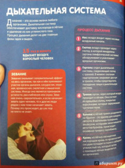 Как устроен человек. Энциклопедия для детей