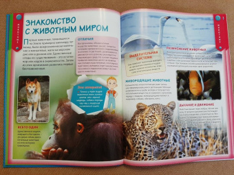 Детская энциклопедия для почемучек от 6 до 12 лет