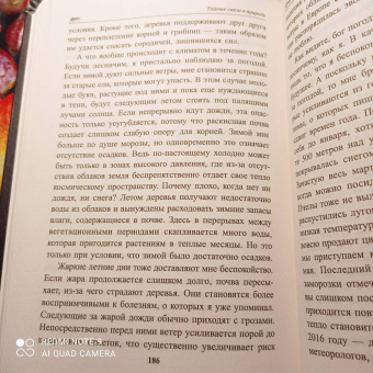 Петер Воллебен: Тайные связи в природе