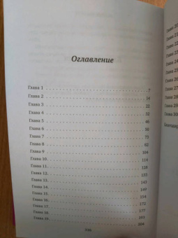 Ребекка Рейсин: Чайный фургончик Рози