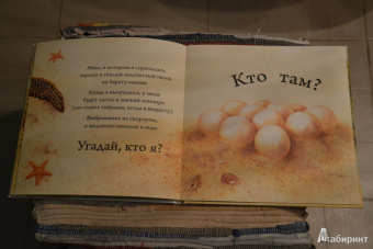 Кто спрятался?