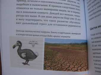 Зегерер, Розенкранц: Великая гибель насекомых. Что это значит и что нам с этим делать