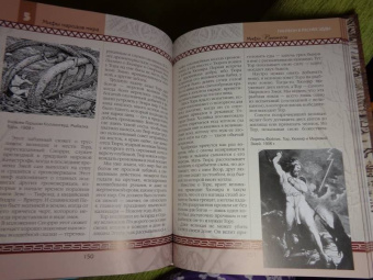 Владимир Петрухин: Мифы викингов
