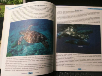 Людмила Соколова: Что? Где? Почему?