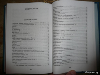 Юрий Кублановский: На обратном пути. Стихи и статьи