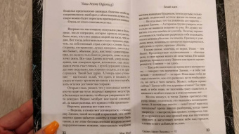 Макс Фрай: Сказки старого Вильнюса VI