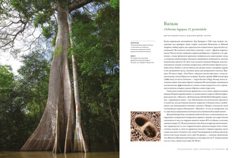 Макс Адамс: Выдающиеся деревья, которые изменили нашу жизнь