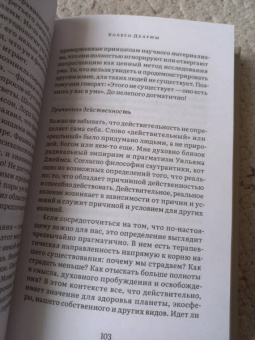 Ален Уоллес: Внимаем пристально. Четыре применения памятования