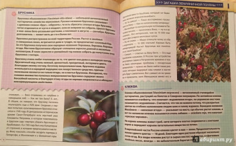 Валентина Мальцева: Открываем тайны леса