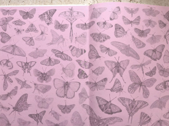 Бен Ротери: Загадочный мир бабочек