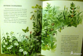 Анатолий Тумбасов: Телеграмма