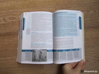 Роуторн, Бендер, Кроуфорд: Япония