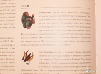 Дженкинс, Пейдж: Про хвосты, носы и уши. Интересные факты о животных