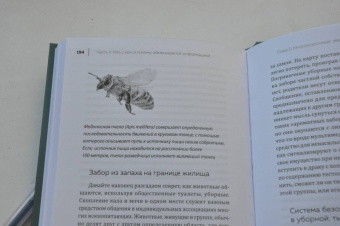 Мадлен Циге: В лесу никто не молчит. Как животные и растения общаются друг с другом